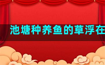 池塘种养鱼的草浮在水面