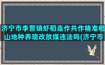 济宁市李营镇虾稻连作共作精准租山地种养现改放煤违法吗(济宁市李营镇属于哪个区)