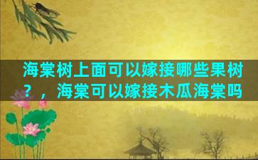 海棠树上面可以嫁接哪些果树？，海棠可以嫁接木瓜海棠吗