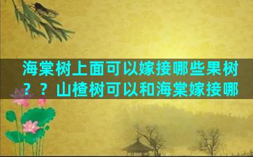 海棠树上面可以嫁接哪些果树？？山楂树可以和海棠嫁接哪