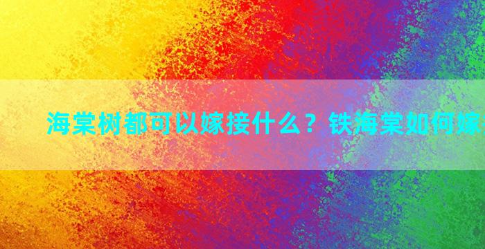 海棠树都可以嫁接什么？铁海棠如何嫁接蟹爪兰