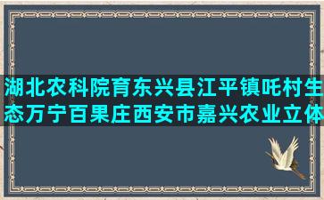 湖北农科院育东兴县江平镇吒村生态万宁百果庄西安市嘉兴农业立体种养实用技术