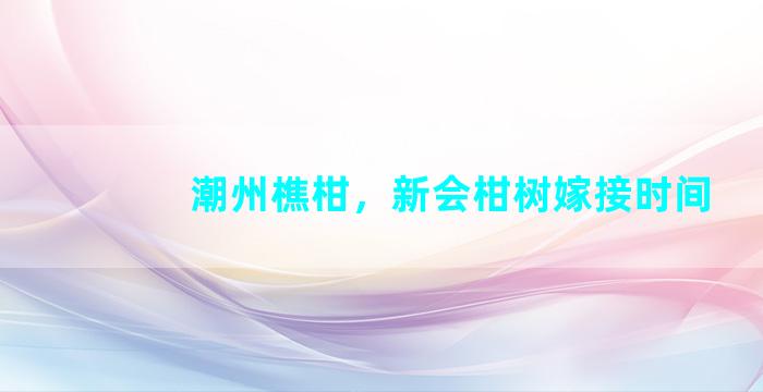 潮州樵柑，新会柑树嫁接时间