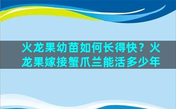 火龙果幼苗如何长得快？火龙果嫁接蟹爪兰能活多少年