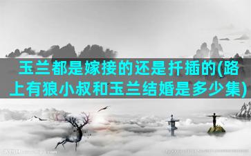 玉兰都是嫁接的还是扦插的(路上有狼小叔和玉兰结婚是多少集)