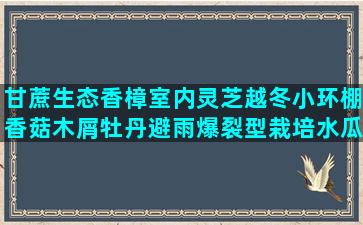 甘蔗生态香樟室内灵芝越冬小环棚香菇木屑牡丹避雨爆裂型栽培水瓜