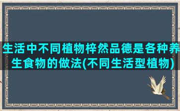 生活中不同植物梓然品德是各种养生食物的做法(不同生活型植物)