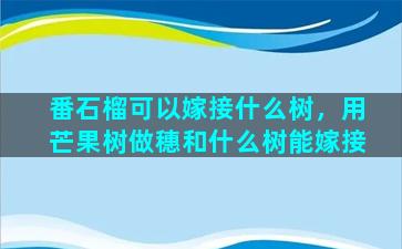 番石榴可以嫁接什么树，用芒果树做穗和什么树能嫁接