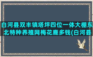 白河县双丰镇塔坪四位一体大棚东北特种养殖网梅花鹿多钱(白河县双丰镇中心小学校长)