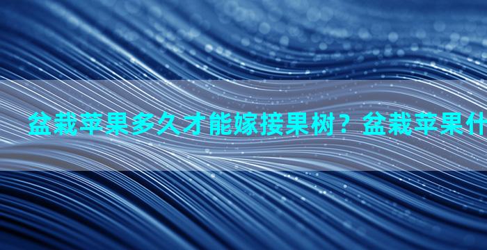 盆栽苹果多久才能嫁接果树？盆栽苹果什么时候嫁接