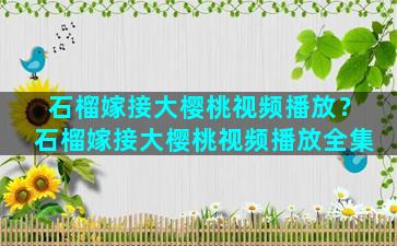 石榴嫁接大樱桃视频播放？石榴嫁接大樱桃视频播放全集