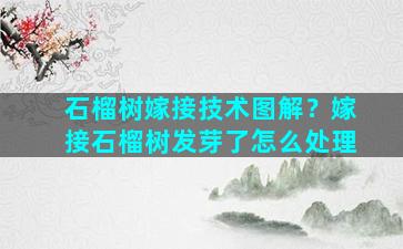 石榴树嫁接技术图解？嫁接石榴树发芽了怎么处理