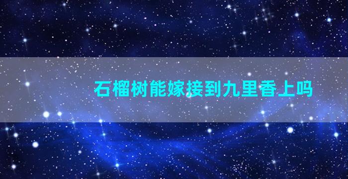 石榴树能嫁接到九里香上吗