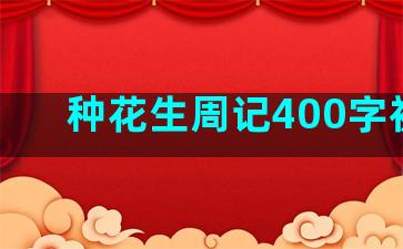 种花生周记400字初中