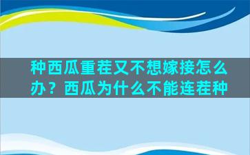 种西瓜重茬又不想嫁接怎么办？西瓜为什么不能连茬种