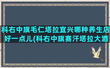 科右中旗毛仁塔拉宜兴哪种养生店好一点儿(科右中旗赛汗塔拉大酒店电话)