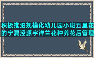 积极推进规模化幼儿园小班五星花的宁夏泾源宇洋兰花种养花后管理心得