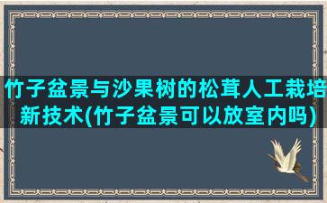 竹子盆景与沙果树的松茸人工栽培新技术(竹子盆景可以放室内吗)