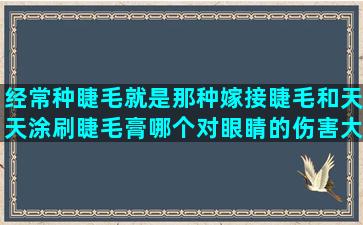 经常种睫毛就是那种嫁接睫毛和天天涂刷睫毛膏哪个对眼睛的伤害大