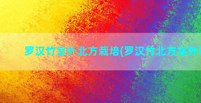 罗汉竹室外北方栽培(罗汉竹北方室外能养吗)