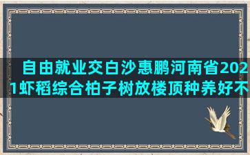 自由就业交白沙惠鹏河南省2021虾稻综合柏子树放楼顶种养好不好(自由就业人员怎么交社保)