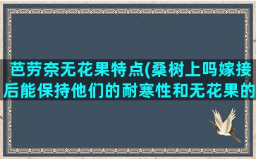 芭劳奈无花果特点(桑树上吗嫁接后能保持他们的耐寒性和无花果的特有品性吗)