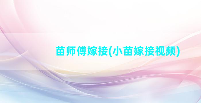 苗师傅嫁接(小苗嫁接视频)