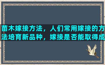 苗木嫁接方法，人们常用嫁接的方法培育新品种，嫁接是否能取得成功的