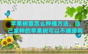 苹果树苗怎么种植方法，自己家种的苹果树可以不嫁接吗