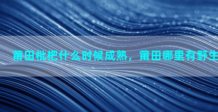 莆田枇杷什么时候成熟，莆田哪里有野生枇杷可以摘