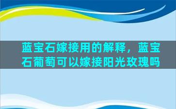 蓝宝石嫁接用的解释，蓝宝石葡萄可以嫁接阳光玫瑰吗