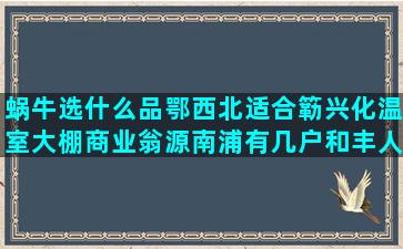 蜗牛选什么品鄂西北适合簕兴化温室大棚商业翁源南浦有几户和丰人和母猪配种养殖比较没风险的(最强蜗牛升级选什么)