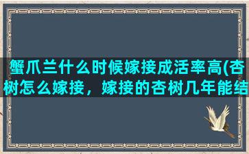 蟹爪兰什么时候嫁接成活率高(杏树怎么嫁接，嫁接的杏树几年能结果)