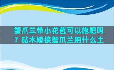 蟹爪兰带小花苞可以施肥吗？砧木嫁接蟹爪兰用什么土