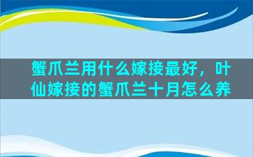 蟹爪兰用什么嫁接最好，叶仙嫁接的蟹爪兰十月怎么养