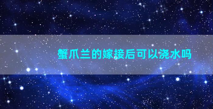 蟹爪兰的嫁接后可以浇水吗