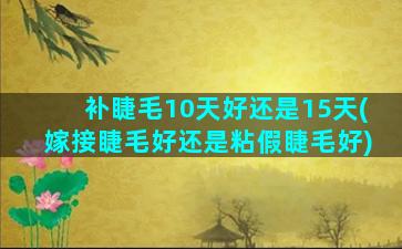 补睫毛10天好还是15天(嫁接睫毛好还是粘假睫毛好)