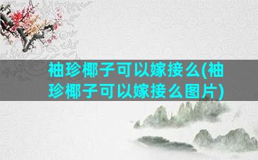 袖珍椰子可以嫁接么(袖珍椰子可以嫁接么图片)