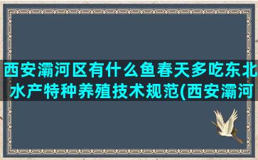 西安灞河区有什么鱼春天多吃东北水产特种养殖技术规范(西安灞河在什么位置)