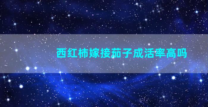 西红柿嫁接茄子成活率高吗