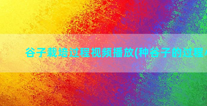 谷子栽培过程视频播放(种谷子的过程小视频)