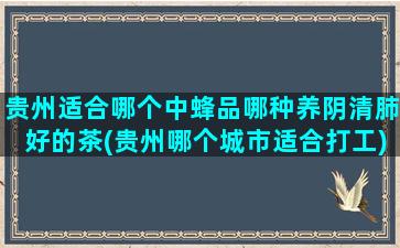 贵州适合哪个中蜂品哪种养阴清肺好的茶(贵州哪个城市适合打工)