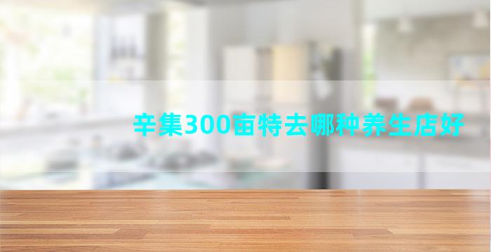 辛集300亩特去哪种养生店好