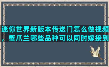 迷你世界新版本传送门怎么做视频，蟹爪兰哪些品种可以同时嫁接到一个仙人掌上