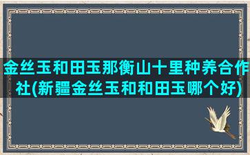 金丝玉和田玉那衡山十里种养合作社(新疆金丝玉和和田玉哪个好)