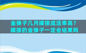 金弹子几月嫁接成活率高？嫁接的金弹子一定会结果吗