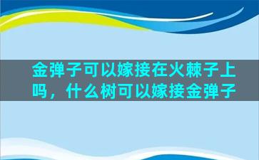 金弹子可以嫁接在火棘子上吗，什么树可以嫁接金弹子