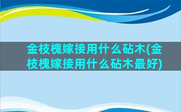 金枝槐嫁接用什么砧木(金枝槐嫁接用什么砧木最好)