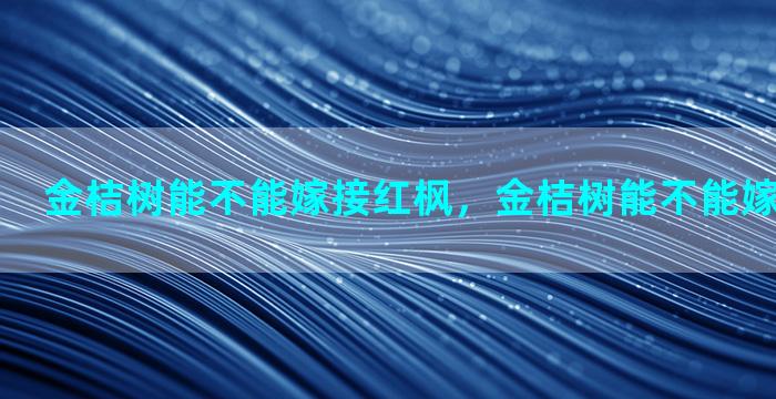 金桔树能不能嫁接红枫，金桔树能不能嫁接红枫树呢