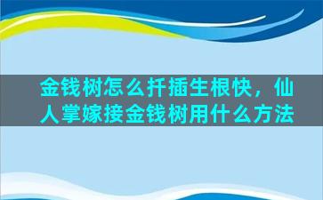 金钱树怎么扦插生根快，仙人掌嫁接金钱树用什么方法